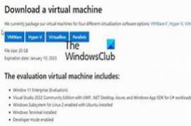 Windows 11 Pro 22H2 Virtual Machine (VMware) Slim